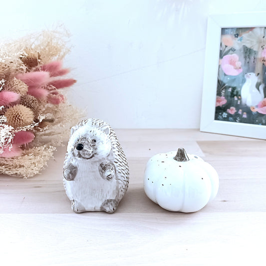 Duo Salière & Poivrière Hérisson & Citrouille – Champêtre & Authentique