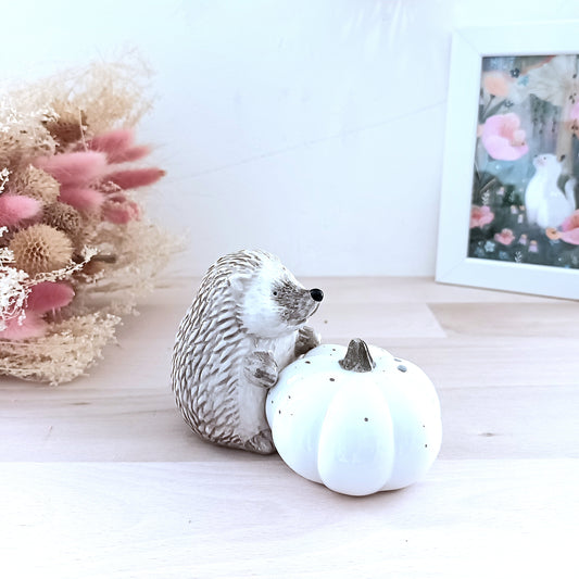 Duo Salière & Poivrière Hérisson & Citrouille – Champêtre & Authentique