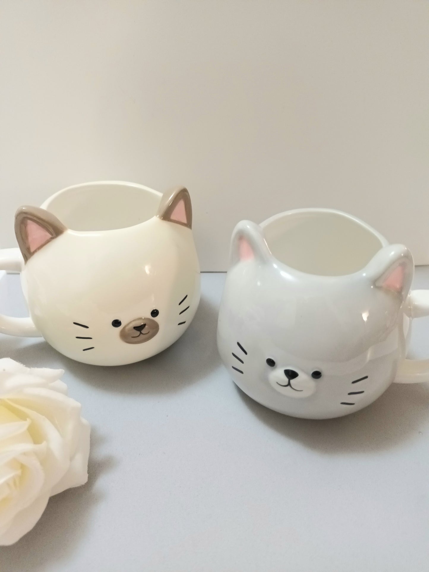 Duo de Mugs Chats en Porcelaine