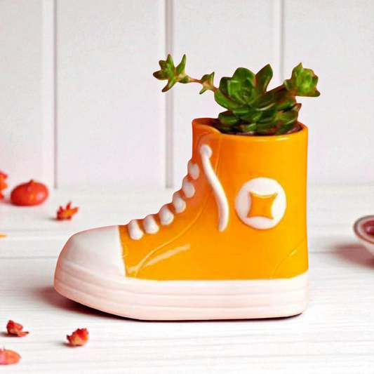Cache-pot Sneaker