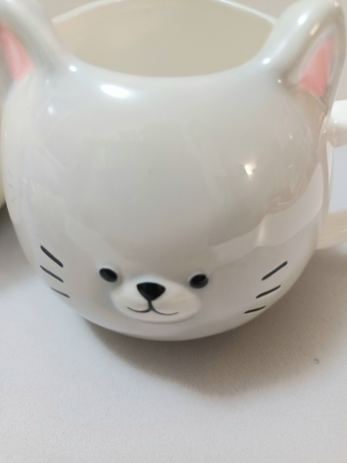 Duo de Mugs Chats en Porcelaine